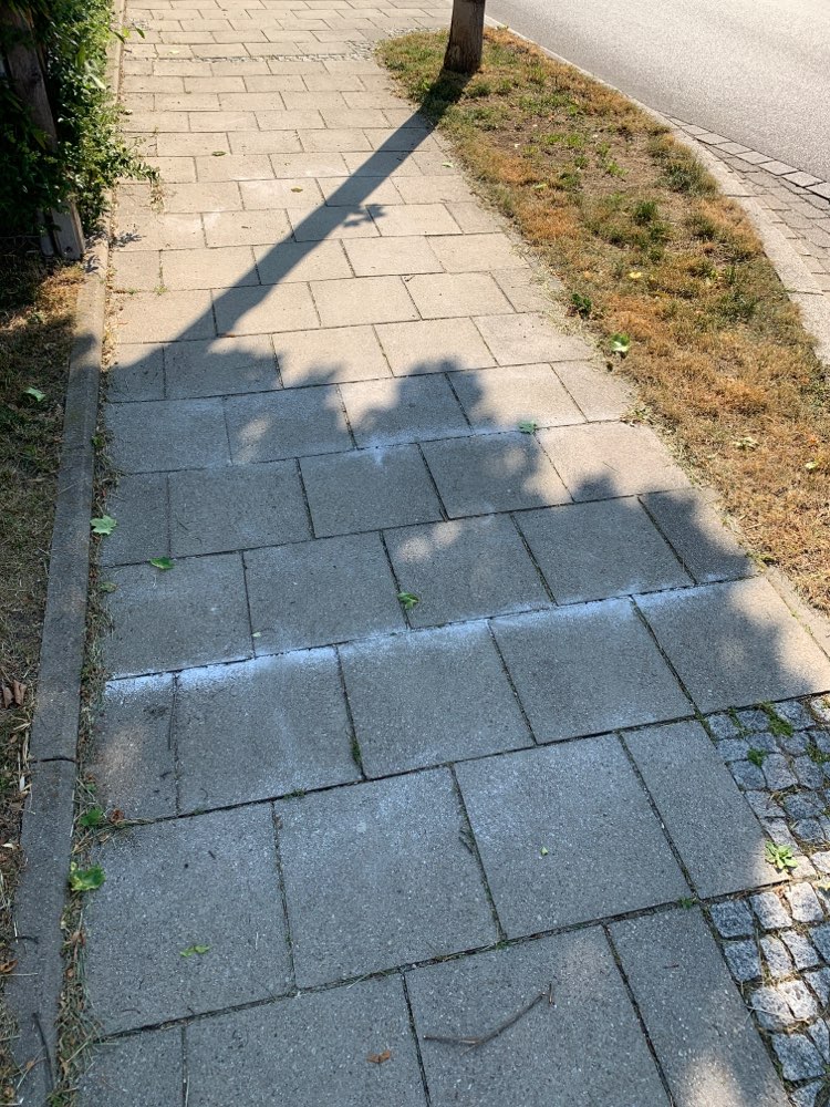 Giftköder-Ameisengift auf Fußweg-Profilbild