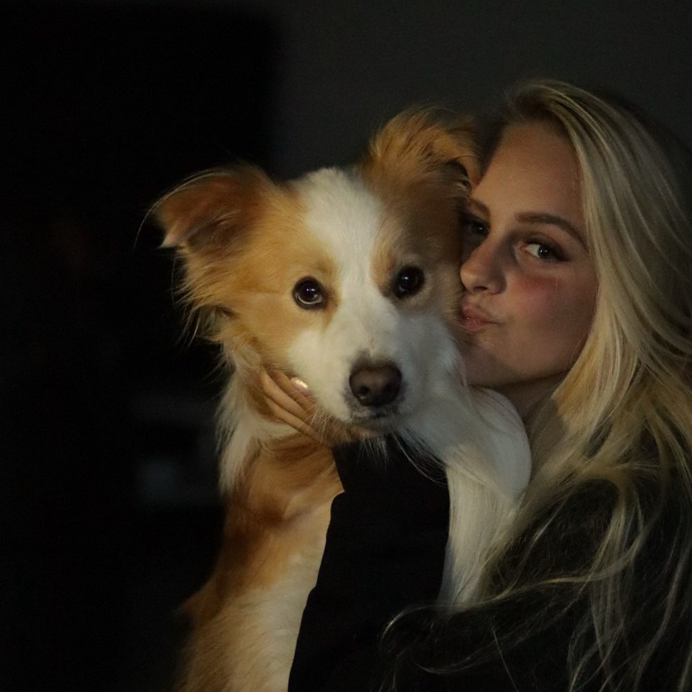 Hundetreffen-Gegenseitige Unterstützung und zusammen spazieren gehen-Profilbild