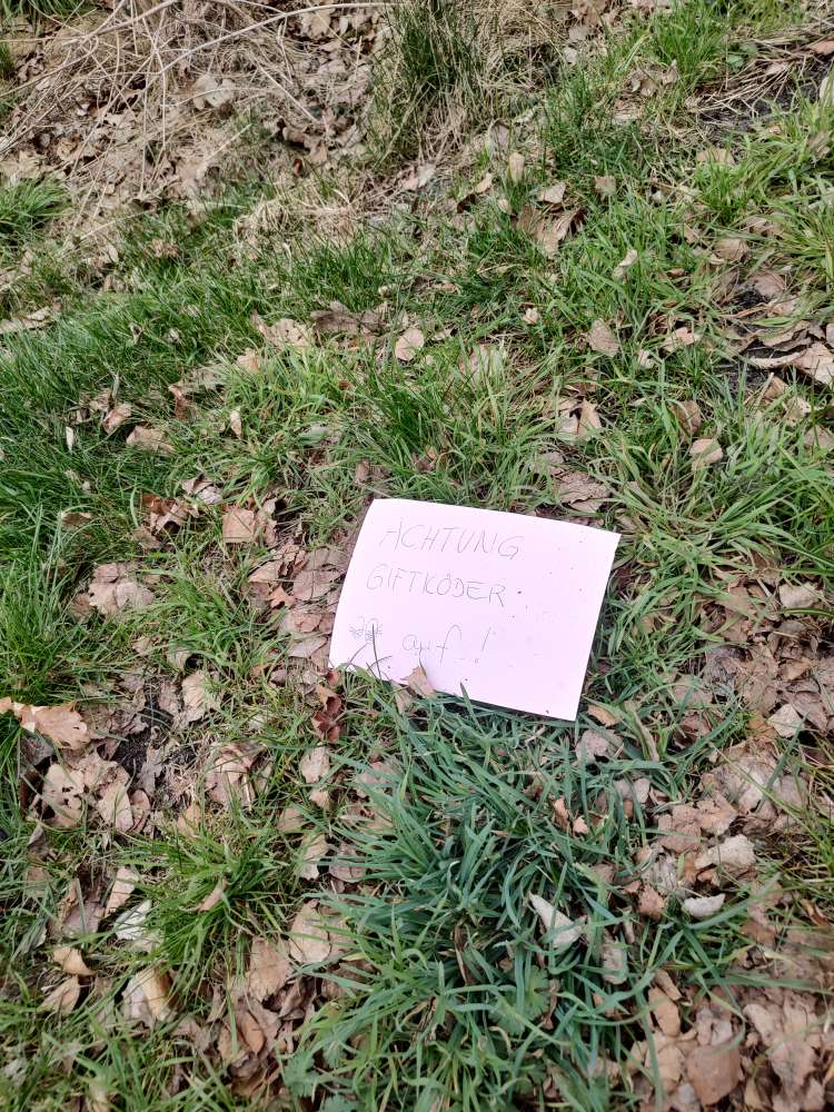 Giftköder-Wieder Giftköder gesichtet-Profilbild