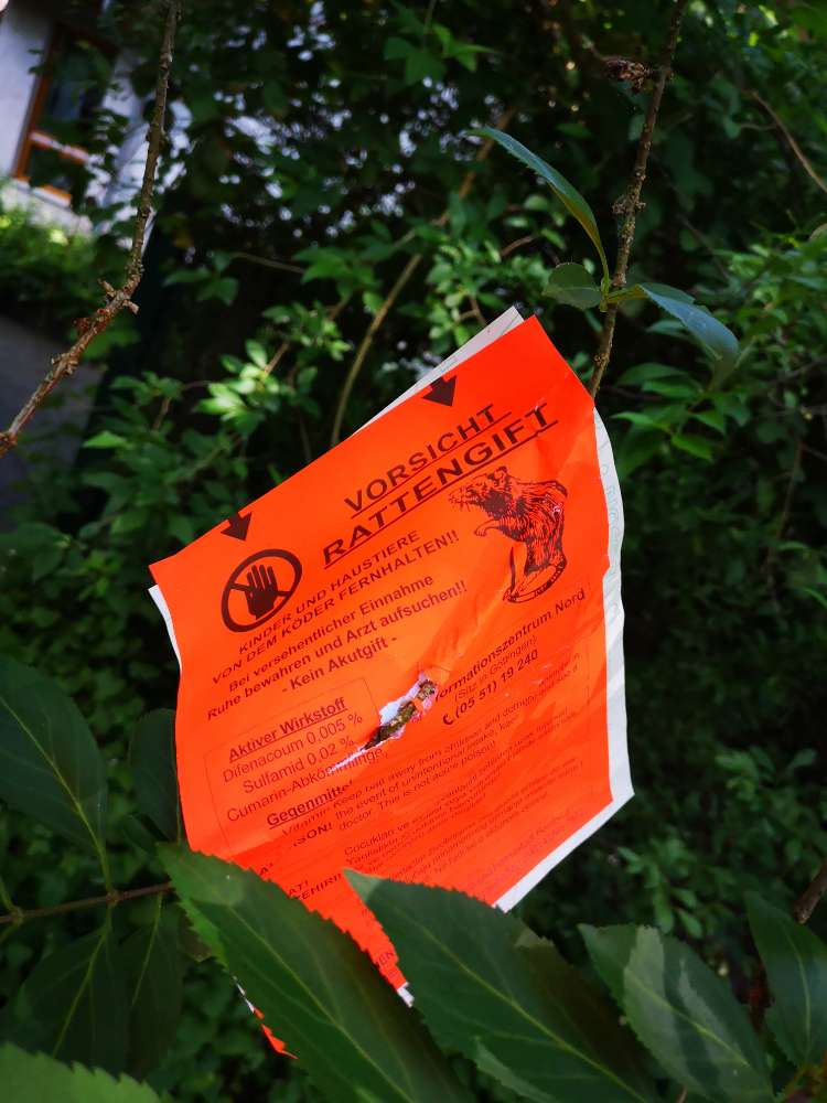 Giftköder-Rattengift-Profilbild