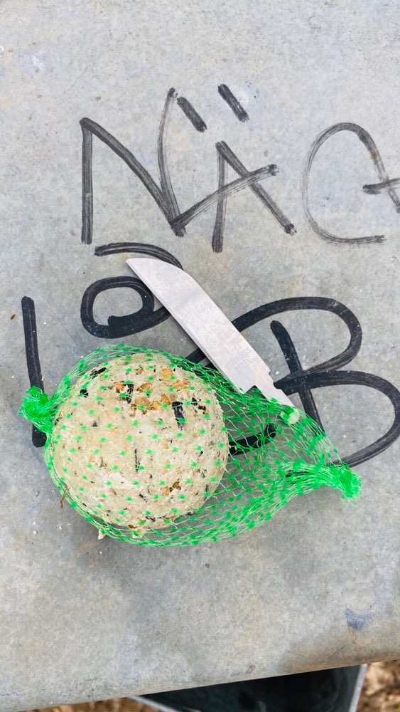 Giftköder-Meisenknödel mit Messerklinge-Profilbild