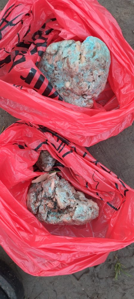 Giftköder-! Giftköder !-Profilbild