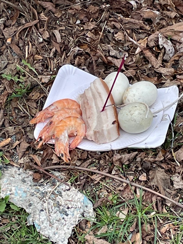 Giftköder-Großes Tablett Giftköder-Profilbild