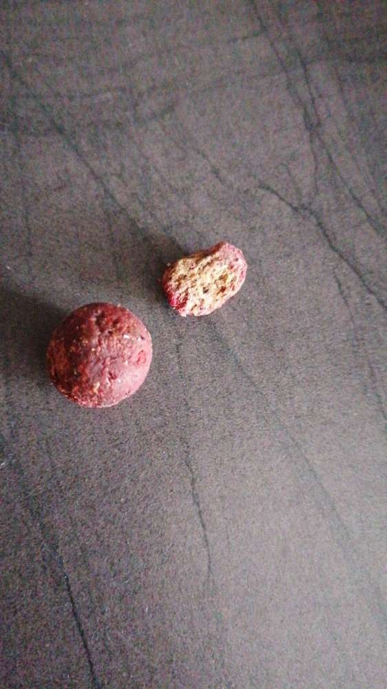 Giftköder-Giftköder in Kugelform-Profilbild