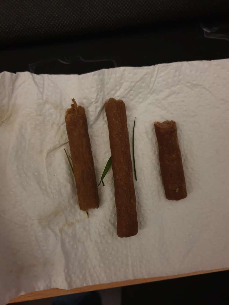 Giftköder-Futterköder-Profilbild