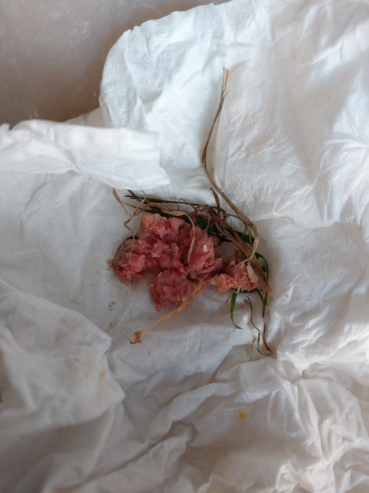 Giftköder-Verdacht auf Giftköder-Profilbild