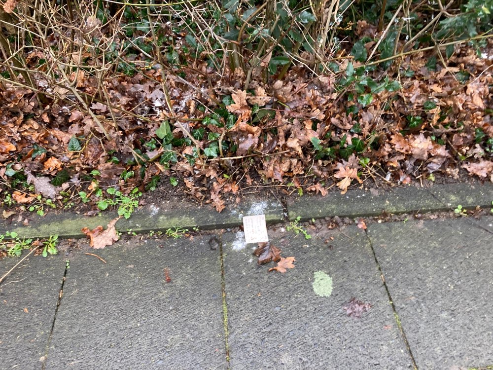 Giftköder-Weißes Pulver um Mülltonnen-Profilbild