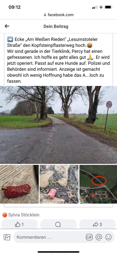 Giftköder-Köder mit Metallstücken-Profilbild