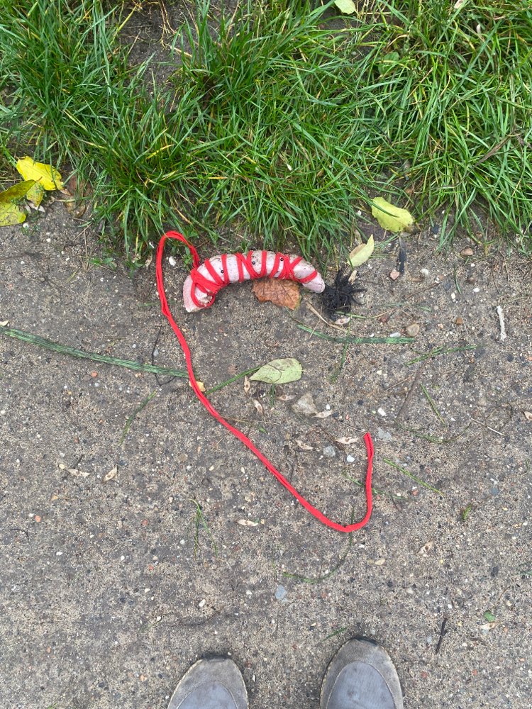 Giftköder-Giftköder mit Nadeln-Profilbild