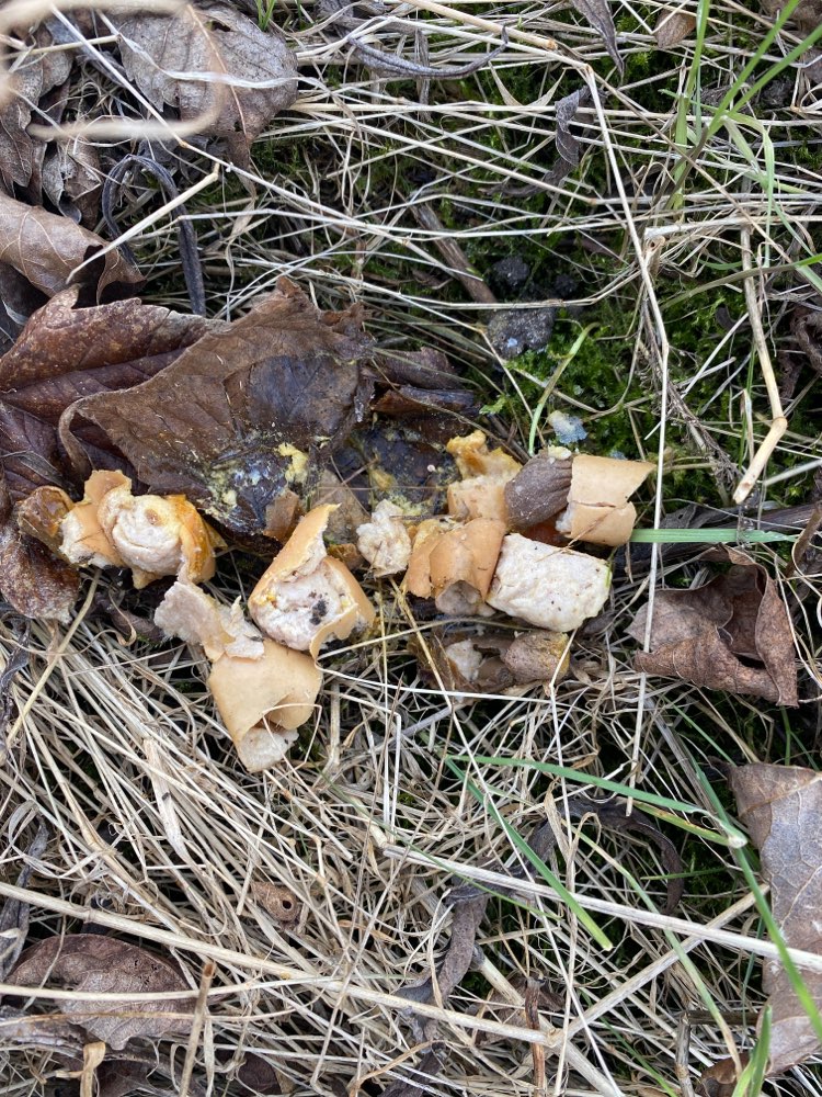 Giftköder-Haufen Würste-Profilbild