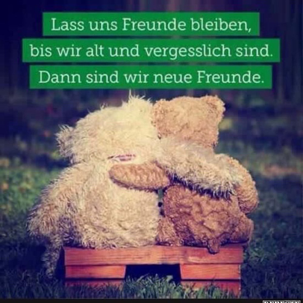 Hundetreffen-Hundetreff-Profilbild