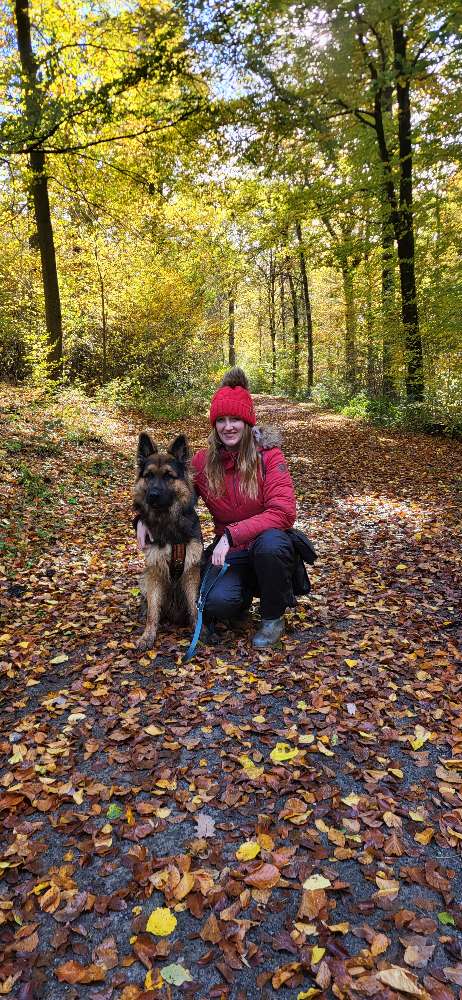 Hundetreffen-Kontrollierter Freilauf-Profilbild