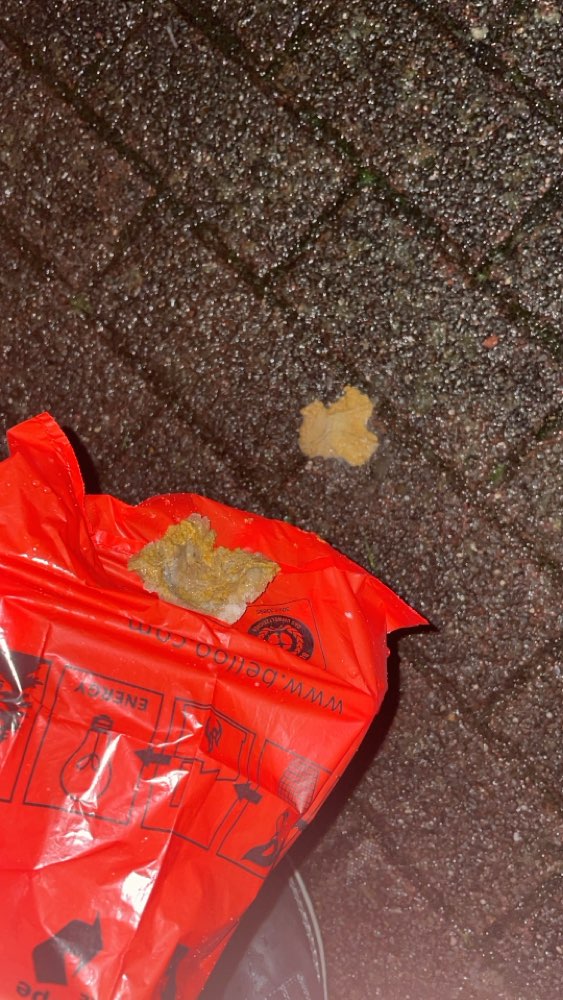 Giftköder-Vermuteter Giftköder-Profilbild