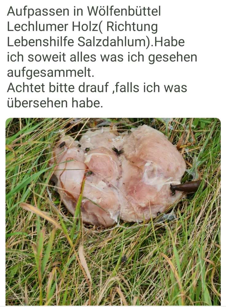 Giftköder-Eventueller Giftköder-Profilbild