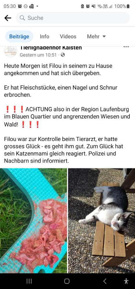 Giftköder-Giftköder-Profilbild