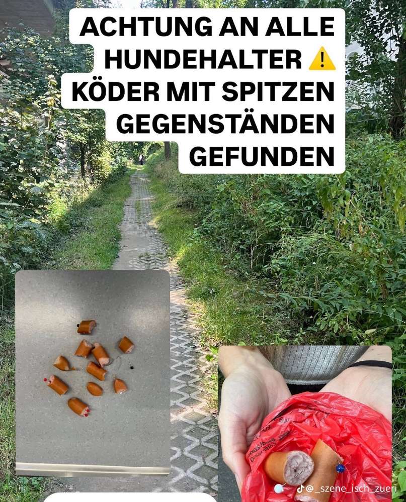 Giftköder-Wienerli mit Nadeln bestückt-Profilbild