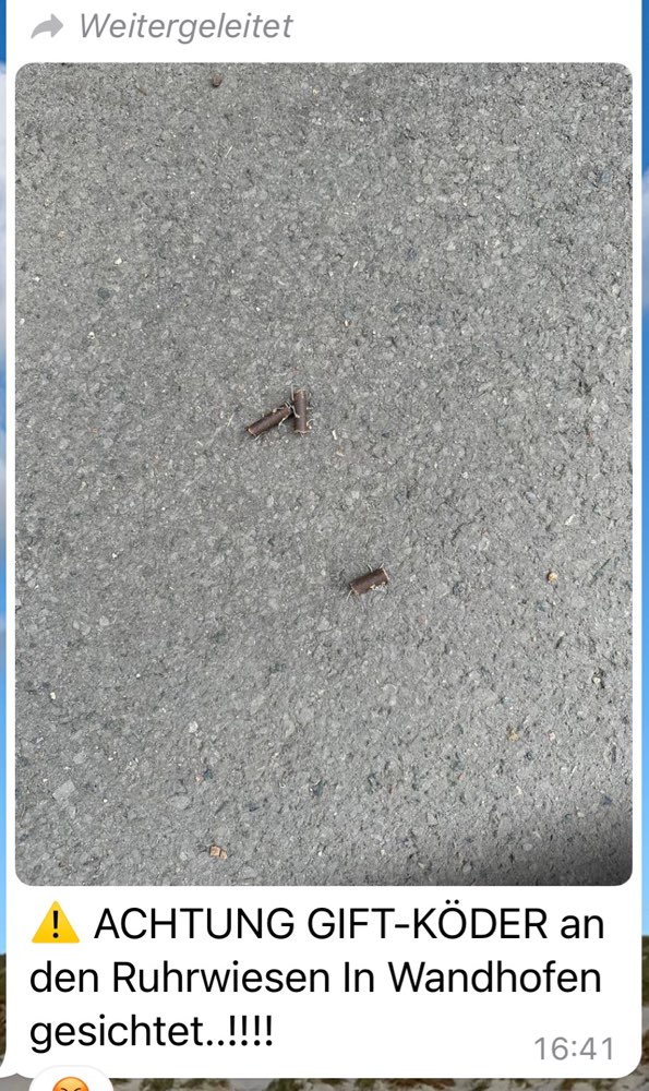 Giftköder-Giftköder-Profilbild