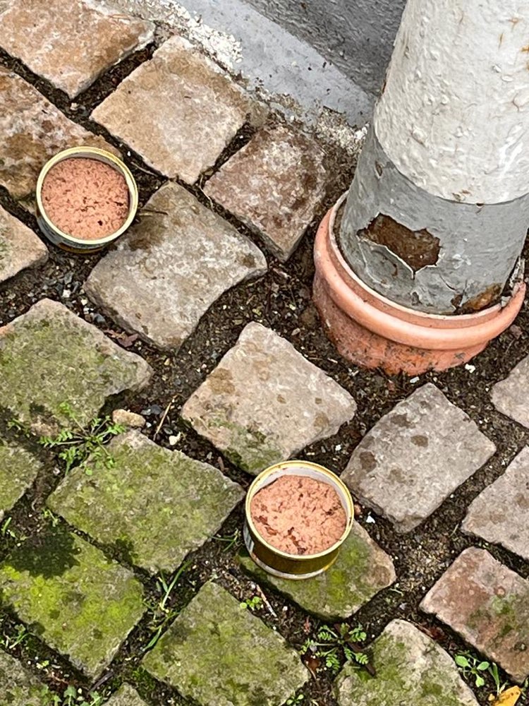 Giftköder-Dosen mit Futter-Profilbild