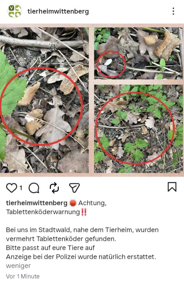 Giftköder-Tablettenköderwarnung-Profilbild