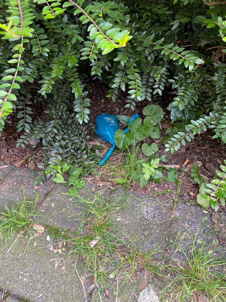 Giftköder-Größere Fleischstücke aus der Dose-Profilbild