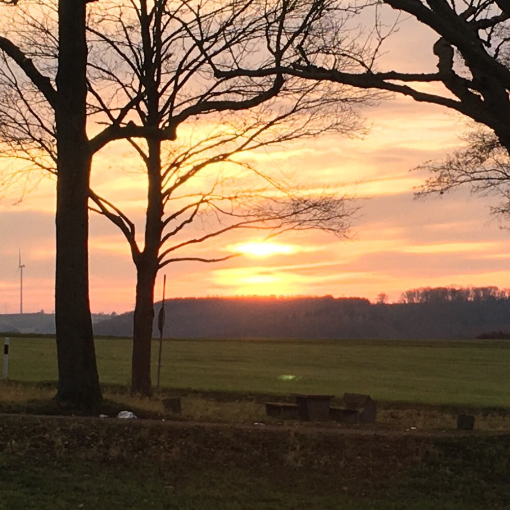 Hundetreffen-Gassirunde gern auch mit Aktivitäten.-Profilbild