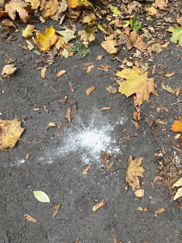 Giftköder-Weißes Pulver (white powder)-Profilbild