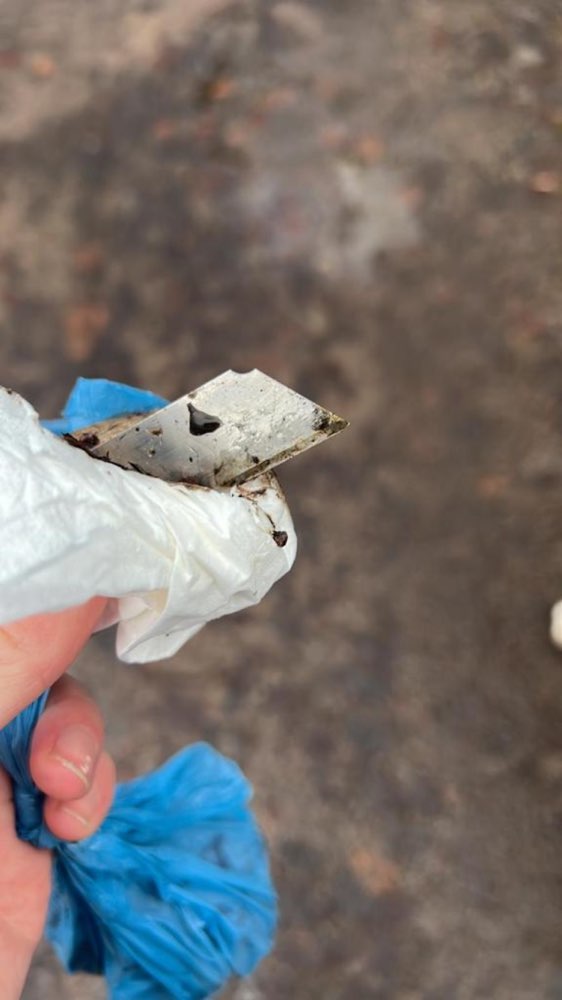 Giftköder-Rasierklinge-Profilbild