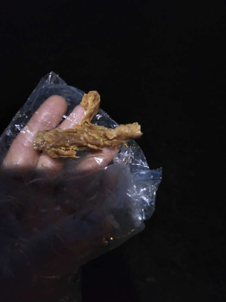 Giftköder-Mögliche Giftköder-Profilbild