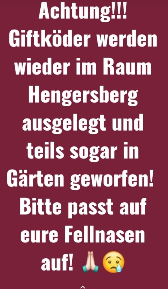 Giftköder-Giftköder-Profilbild