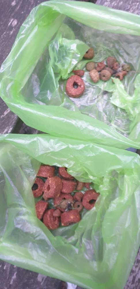 Giftköder-Ausgelegte Leckerlies-Profilbild