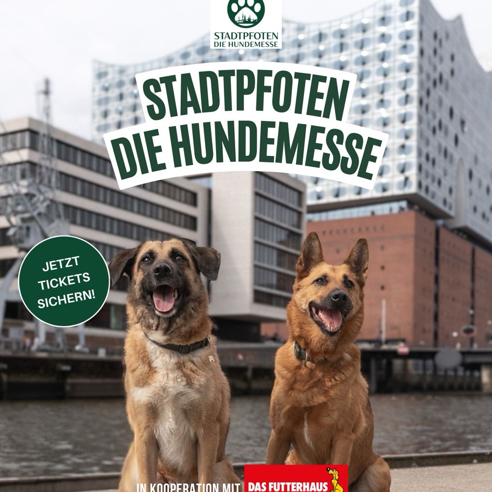 Hundetreffen-Stadtpfoten - das Event für Hundefans in Hamburg-Profilbild