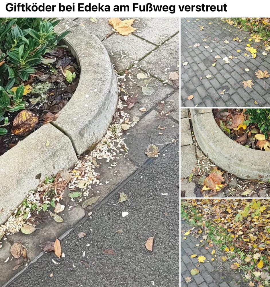 Giftköder-Giftköder-Profilbild