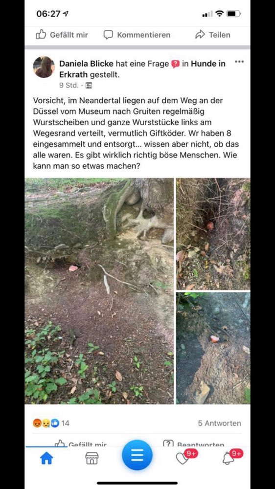 Giftköder-Wurst Stücke im Neanderthal-Profilbild