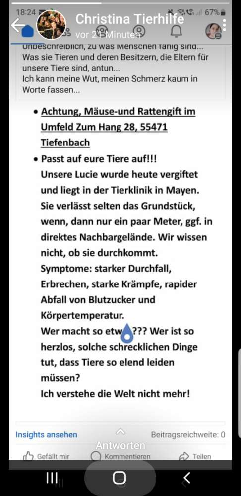 Giftköder-Vorsicht Rattengift-Profilbild