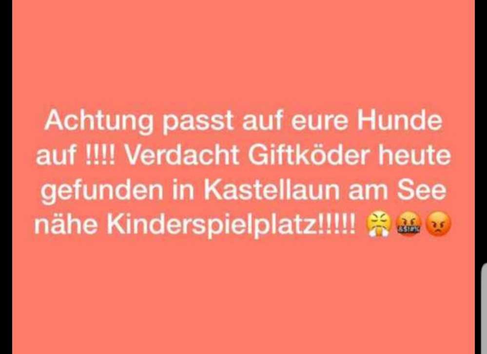 Giftköder-Giftköder-Profilbild