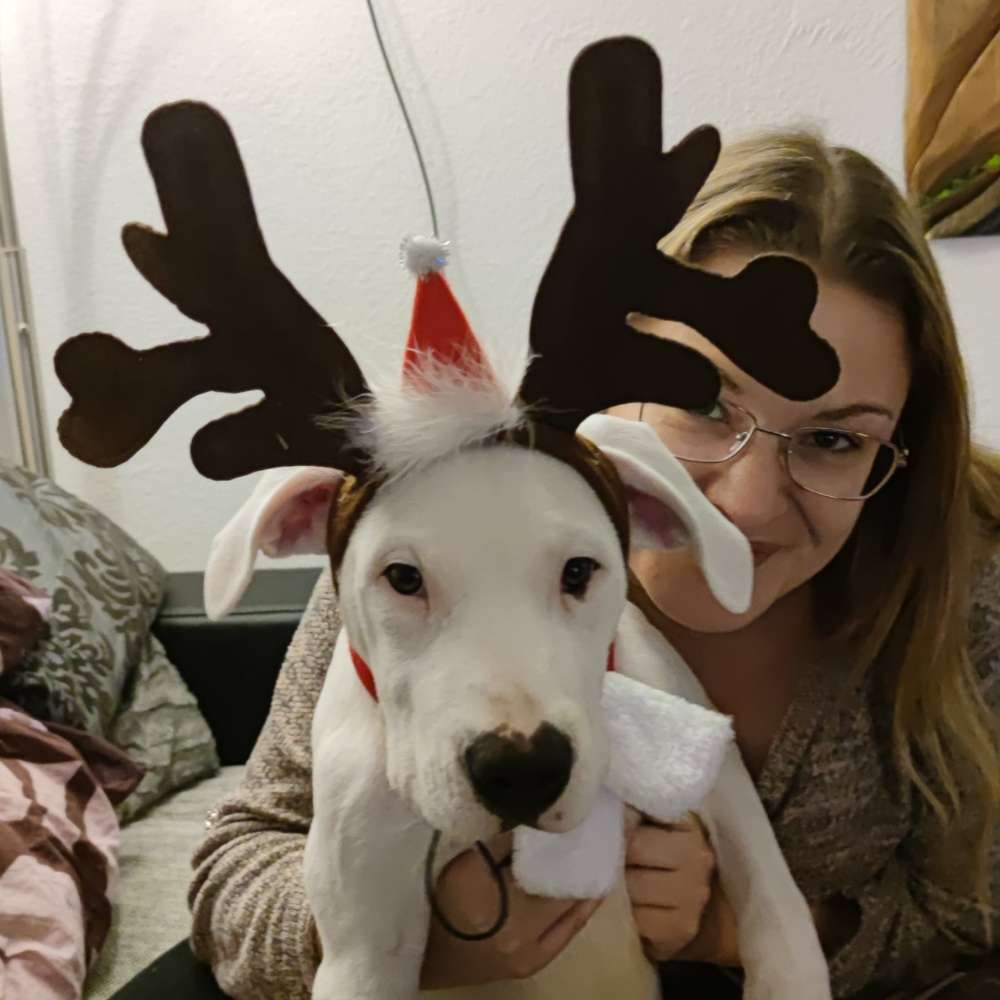 Hundetreffen-Welpe sucht Gassipartner-Profilbild