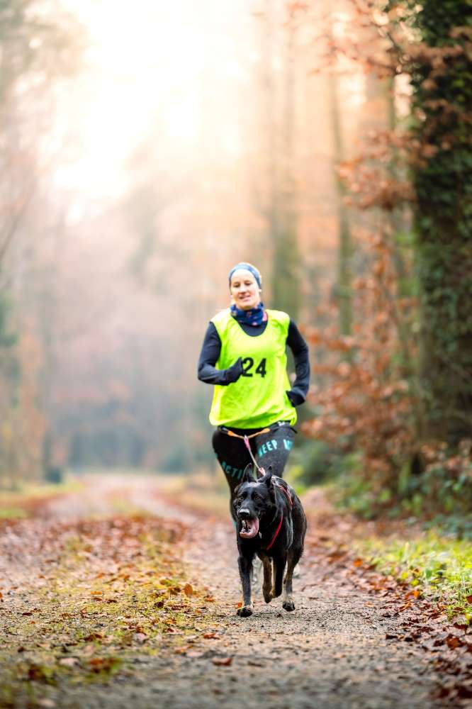 Hundetreffen-CaniCross-Profilbild