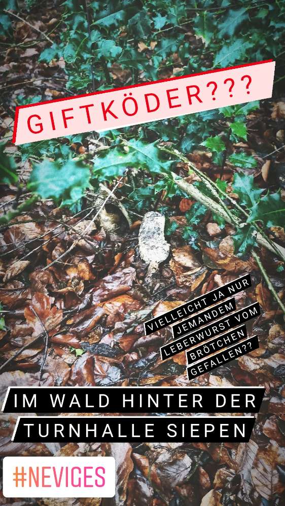 Giftköder-Möglicher Giftköder-Profilbild