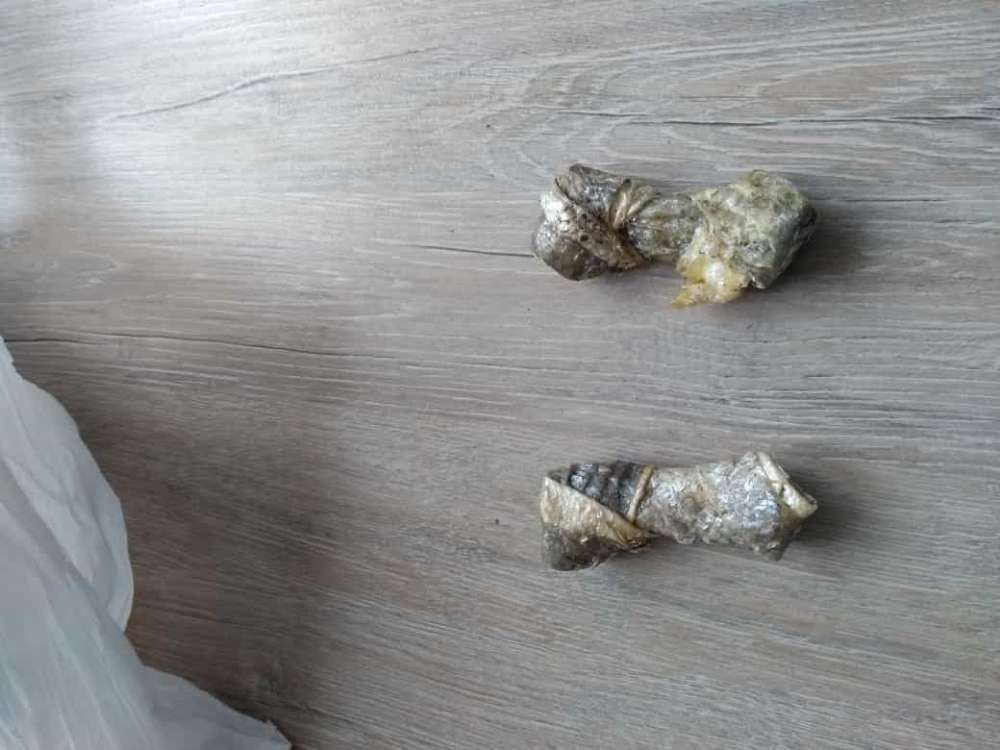 Giftköder-giftköder?-Profilbild