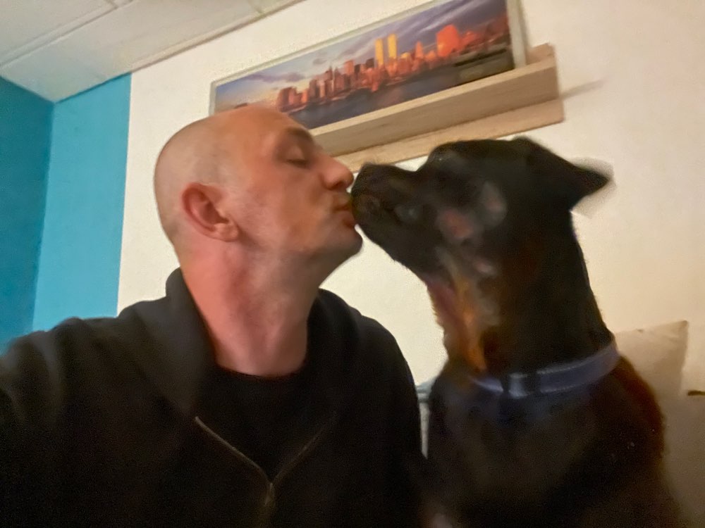 Hundetreffen-Spielfreund/in gesucht-Profilbild