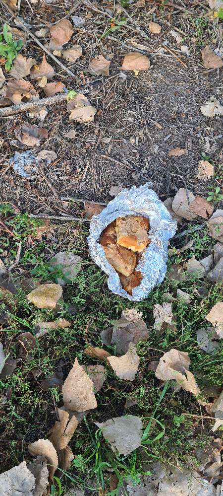 Giftköder-Ausgelegtes Gebäck am Wegrand-Profilbild