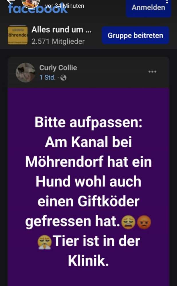 Giftköder-Giftköder-Profilbild