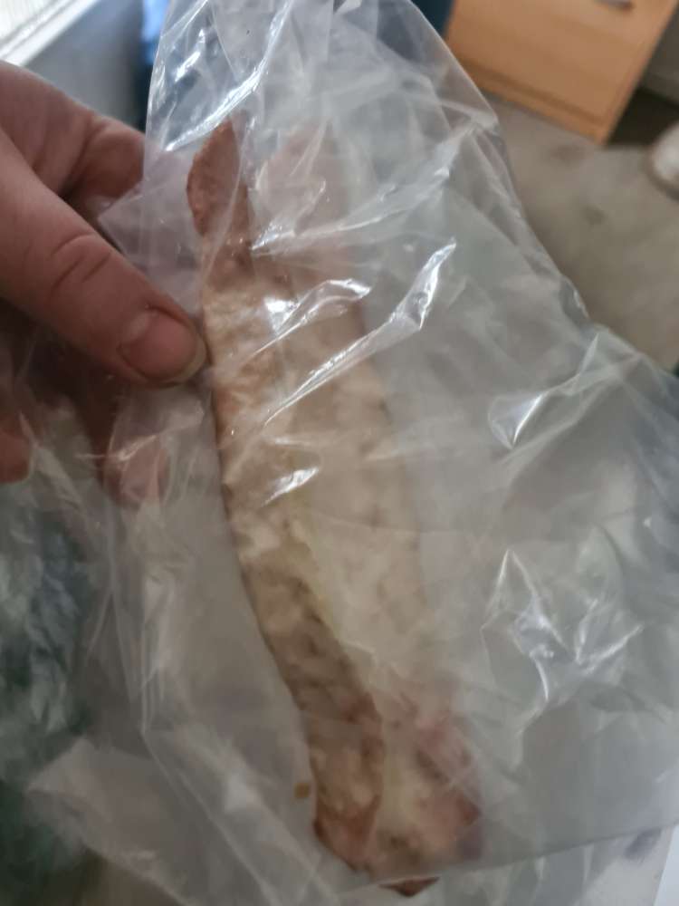 Giftköder-Giftköder /Giftknochen-Profilbild