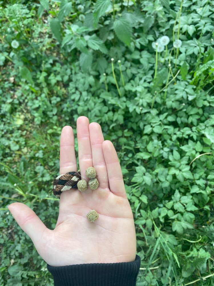 Giftköder-Giftköder Trockenfutter-Profilbild