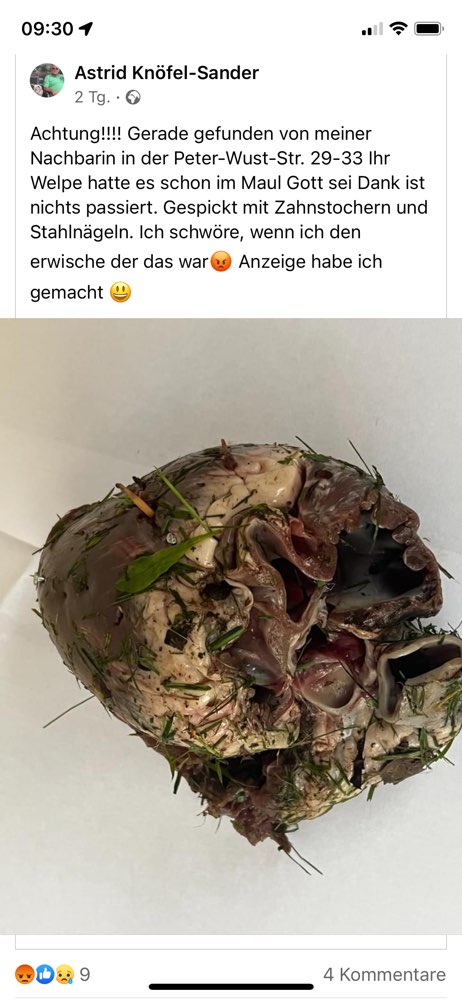 Giftköder-Innereien mit Nägeln-Profilbild