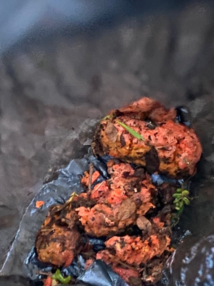 Giftköder-Möglicher Giftköder-Profilbild