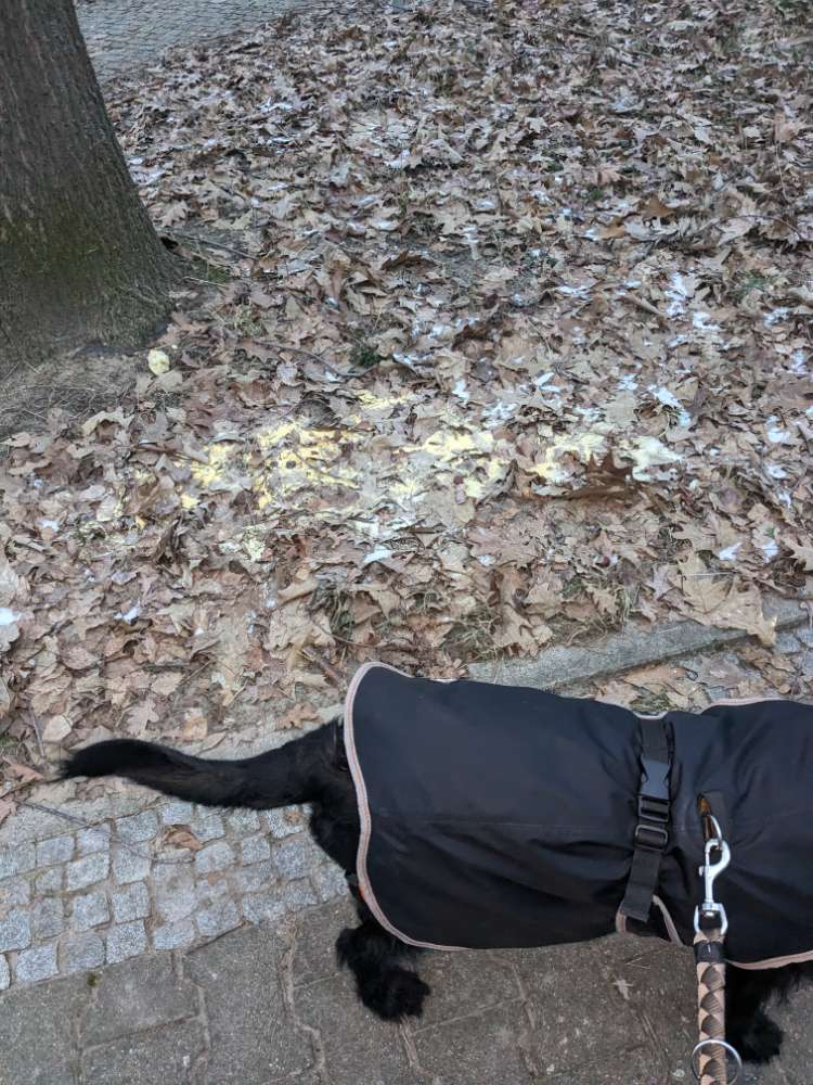 Giftköder-Semmelbrösel artiges-Profilbild