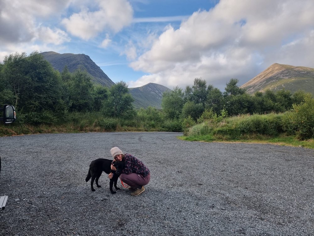Hundetreffen-Suche nach Gassi-, Trainier- und Spielfreunden für Molly-Profilbild