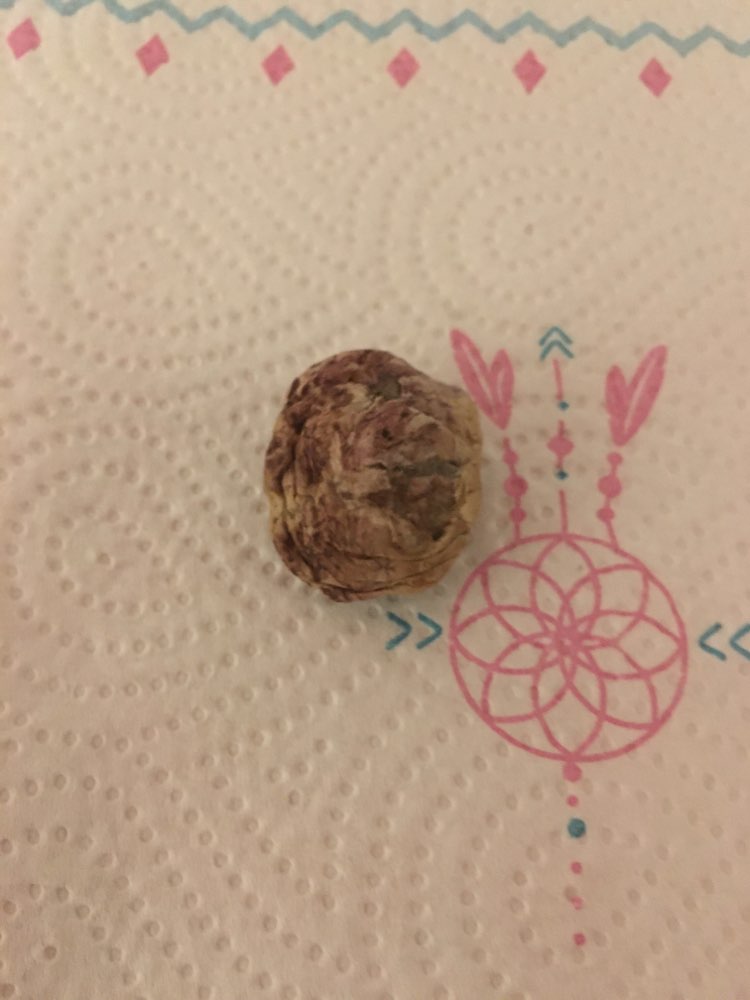 Giftköder-Wurst-Profilbild