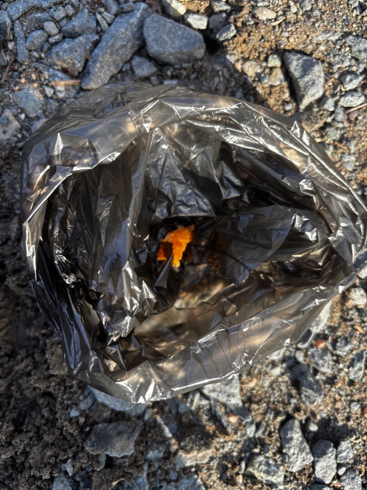 Giftköder-Gift Köder-Profilbild